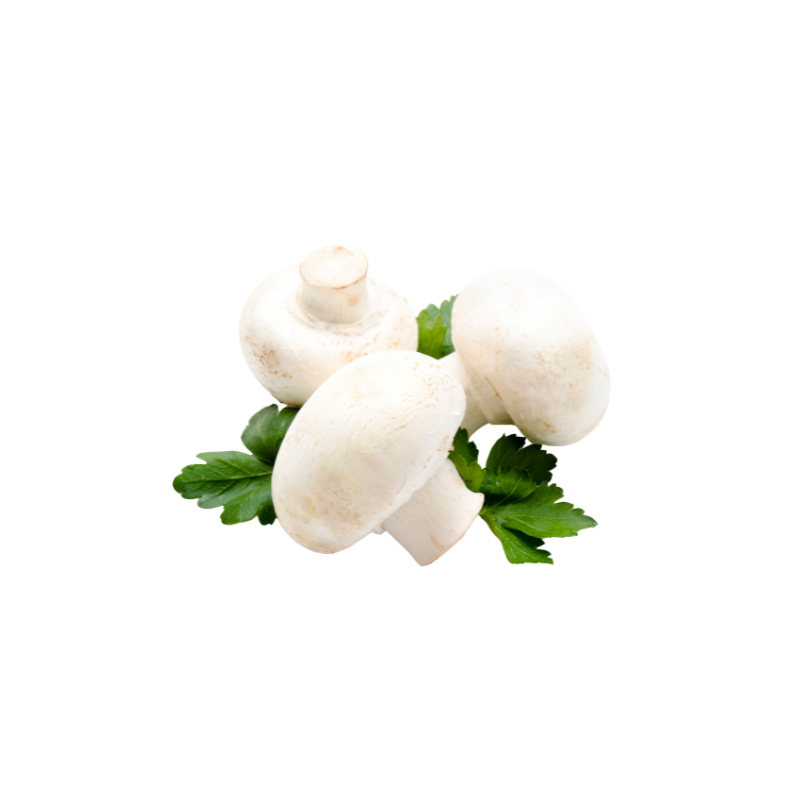 Champignon