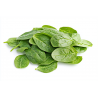 Basilic 1KG