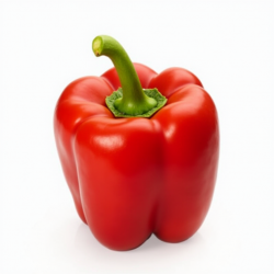 Poivron rouge