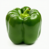 Poivron vert