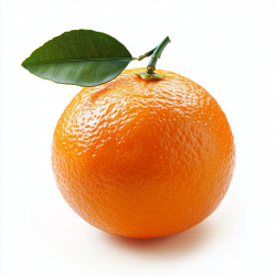 Mandarine