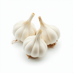 Ail blanc