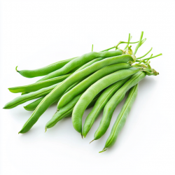 Haricot vert