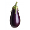 Aubergine