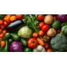 Grand Panier de légumes