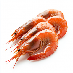 Crevettes