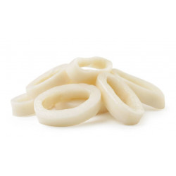 Anneaux de calamars