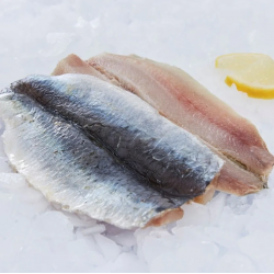 Filet sardine papillon