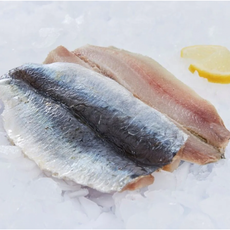 Filet sardine papillon