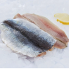 Filet sardine papillon